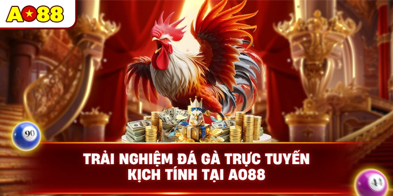 Trải nghiệm đá gà trực tuyến kịch tính tại AO88